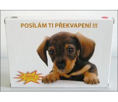 Tlustá pohlednice PK-1 (pro holku)