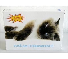 Tlustá pohlednice PK-2 (pro kluka)