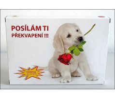 Tlustá pohlednice PK-3 (pro holku)